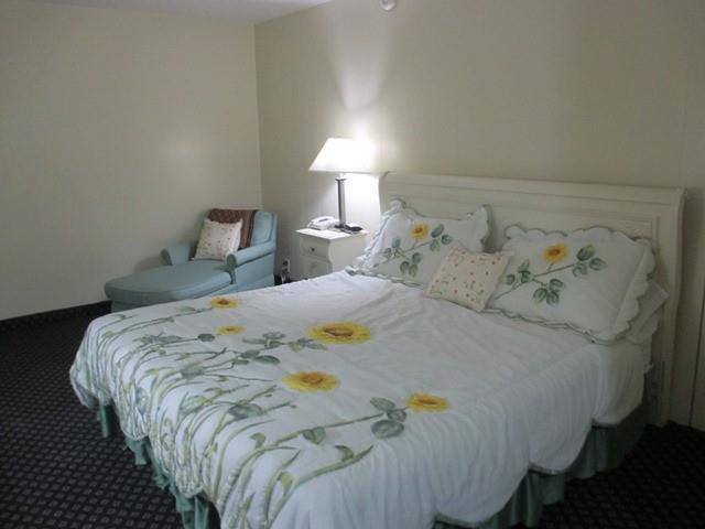 Hotel Red Carpet Inn&suites