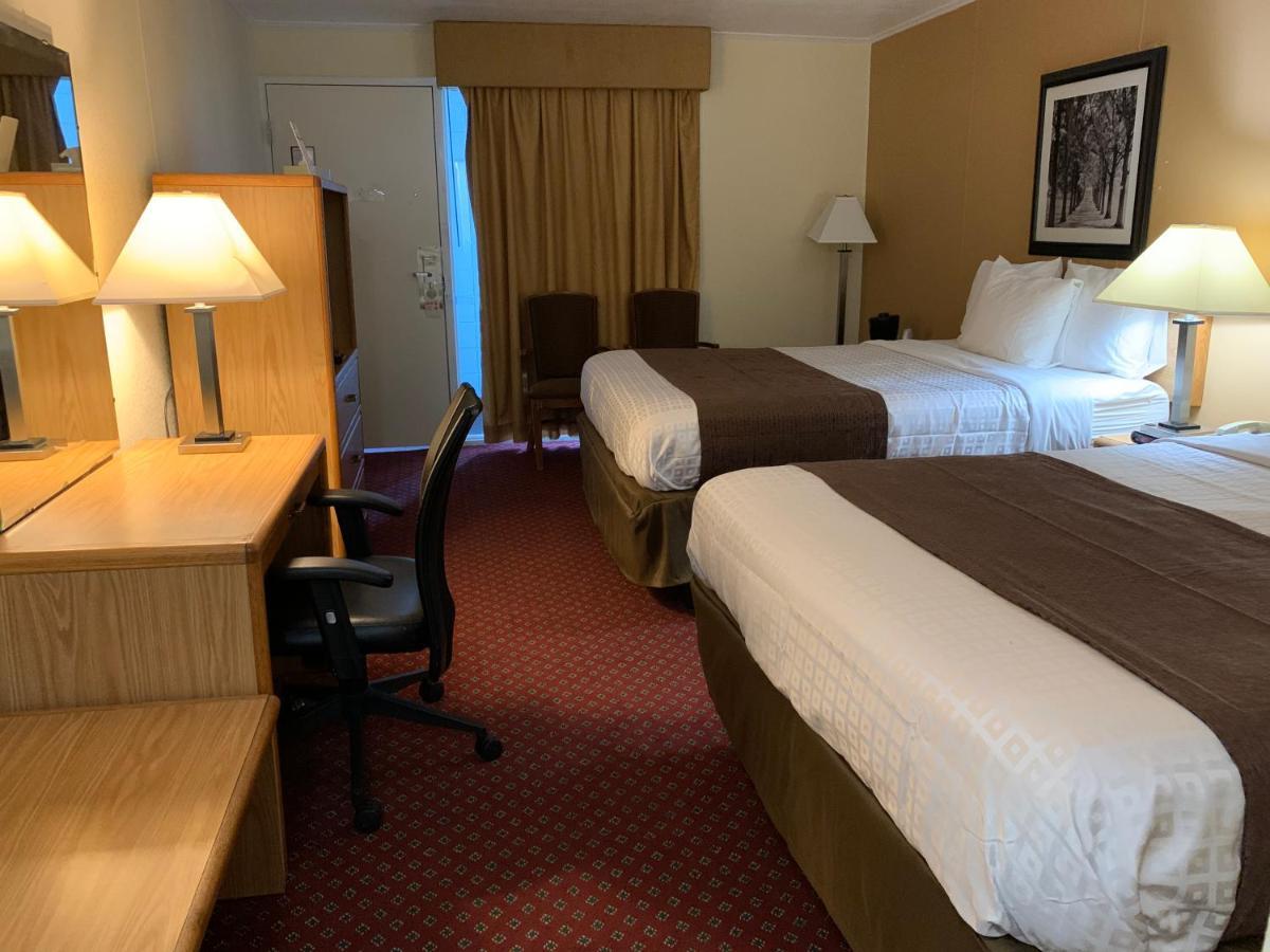 Red Carpet & Hotel